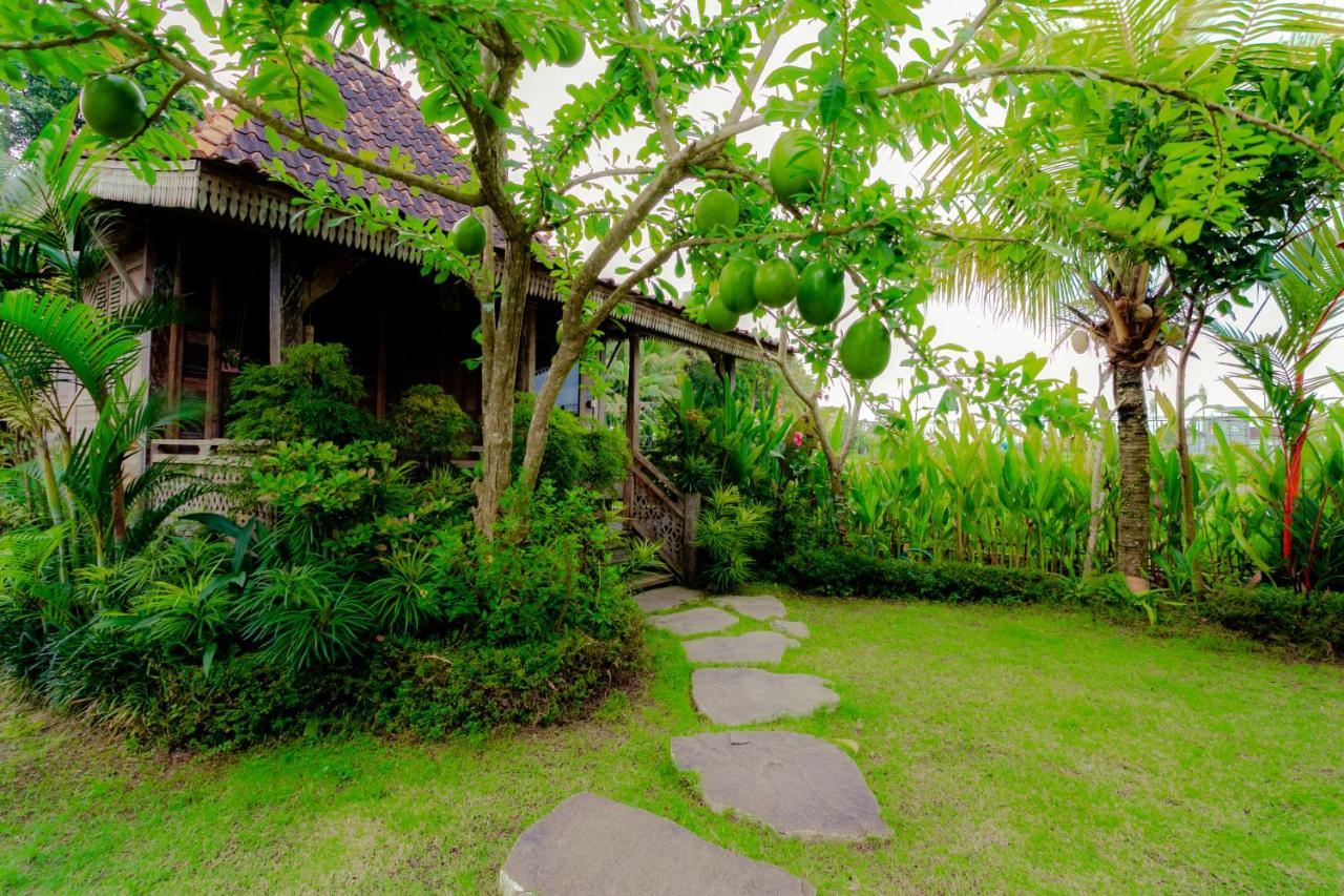 Nauna Villa Ubud Exterior foto